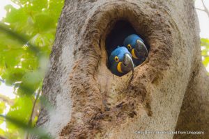 Picture by Roi Dimor