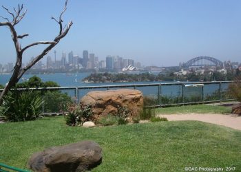 Sydney Opera House