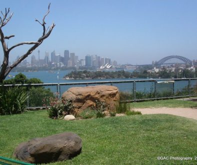 Sydney Opera House